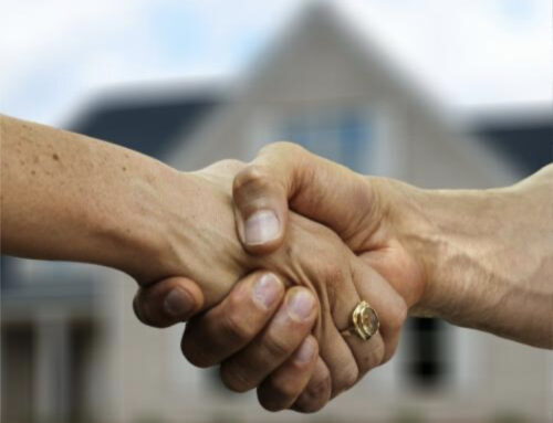 Collaborazioni